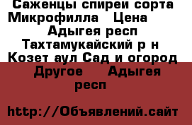 Саженцы спиреи сорта Микрофилла › Цена ­ 300 - Адыгея респ., Тахтамукайский р-н, Козет аул Сад и огород » Другое   . Адыгея респ.